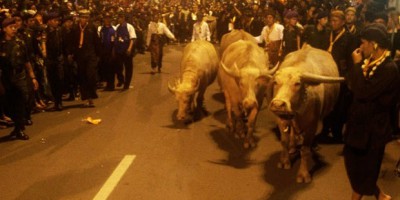 2209 utama malam satu suro