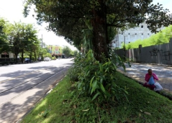 Perbaikan Drainase Tanpa Mengorbankan Taman Kota