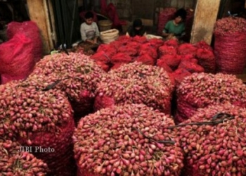 Jelang Puasa dan Lebaran, 23 Ribu Ton Bawang Merah Disiapkan