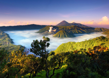 5 Tempat Wisata Yang Wajib Anda Kunjungi