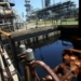 Pemerintah Siapkan Cadangan Penyangga Energi Dalam Bentuk Minyak Mentah
