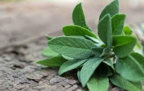 TIPS ALAMI : Hilangkan Uban Dengan Ini