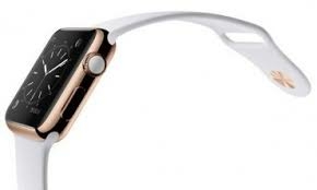 Andre Chang, Sepakati Bawa Snowy ke apple Watch
