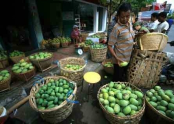 Indonesia-Thailand, Kembangkan Teknologi Pascapanen Buah Bersama