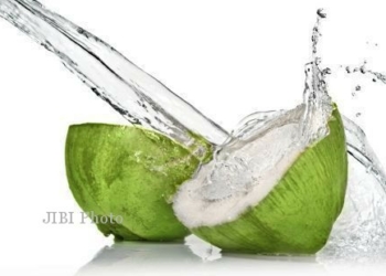 Selain Segar, Ini Manfaat Lain Air Kelapa
