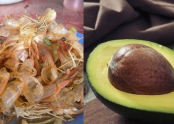 Limbah Kulit Udang dan Biji Alpukat Bisa Gantikan Plastik