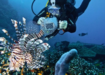 Indonesia Dominasi 10 Tempat Diving Terbaik Asia!