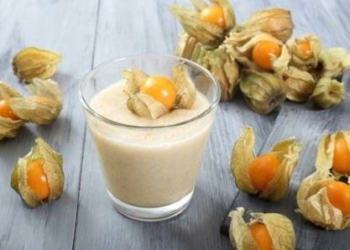 Ternyata Buah Ciplukan Bisa Menyembuhkan Penyakit Lho