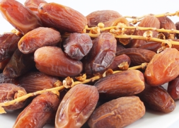 Inilah Macam-Macam Jenis Kurma