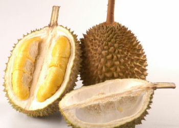 Selain Berbahaya, Kulit Durian Juga Ada Manfaatnya Lho
