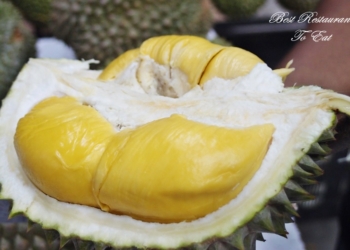 Fakta Durian Yang Perlu Kamu Tahu!