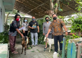 Solia Zigna Serahkan Hewan Kurban ke Masjid