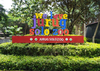 ujicoba wisata solo