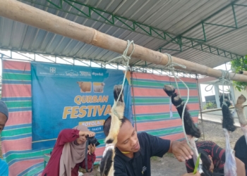 RS JIH Solo Gandeng DT Peduli Selenggarakan Kurban