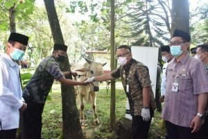 Daging Kurban