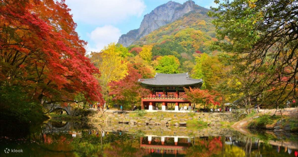 Jeonju hanok village di musim gugur (klook.com)