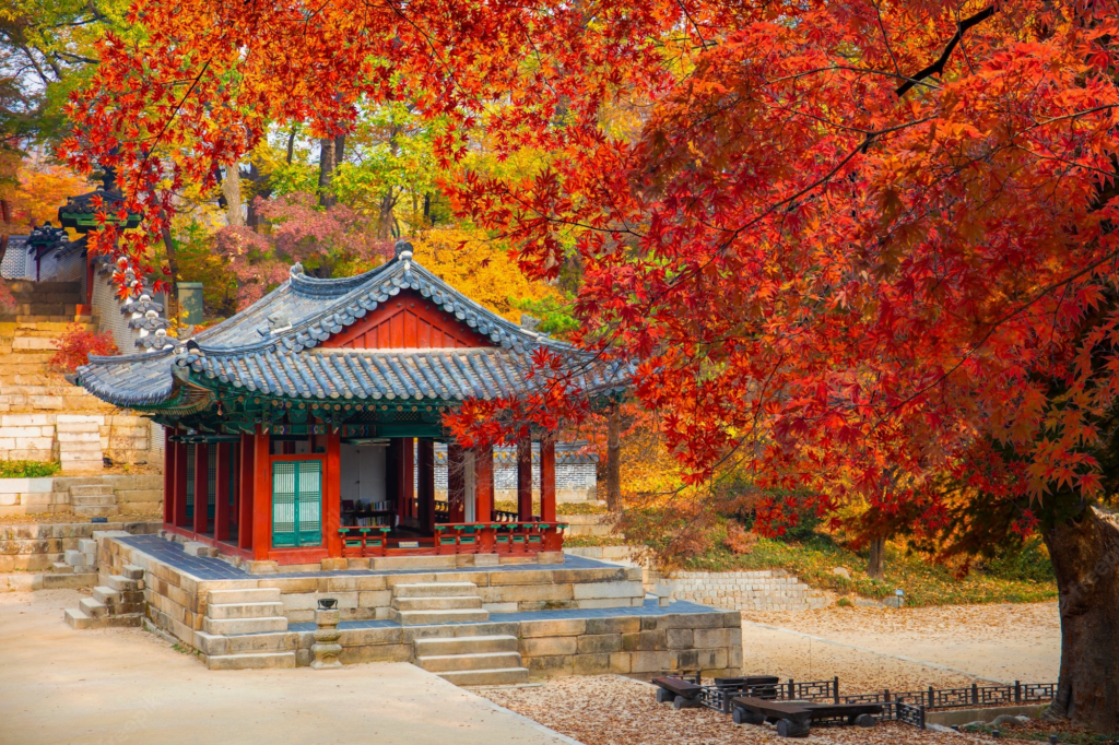 Changdeokgung palace di musim gugur (freepik.com)