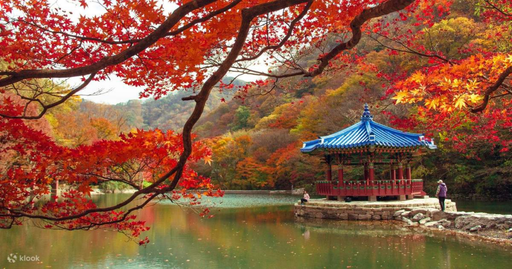 taman nasional Naejangsan di musim gugur (klook.com)