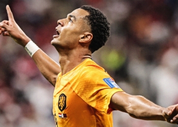 Cody Gakpo gabung liverpool dalam waktu dekat (Goal)