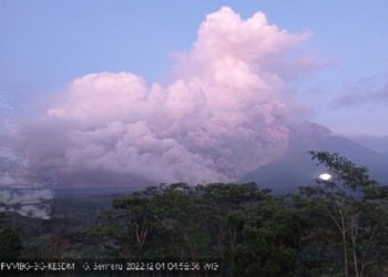 Waspada! Gunung Semeru Kembali Erupsi, Muntahkan 1 Km Lava Pijar dan 25 Kali Letusan