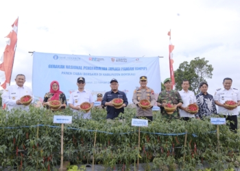 Bank Indonesia dan Pemkab Boyolali Panen Raya Cabai