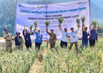 Tingkatkan Daya Saing Bawang Putih Lokal, BI Solo Gandeng Pemkab Karanganyar dan IPB