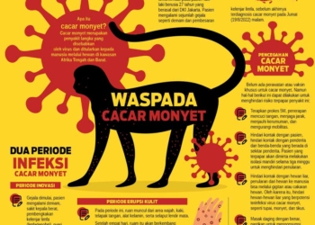 14 Terkonfirmasi Cacar Monyet, Kemenkes : Penting Perilaku PHBS!