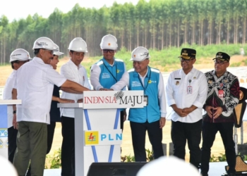 Presiden Groundbreaking Pembangunan PLTS PLN 50 MW di IKN Nusantara, Hadirkan 100% Energi Bersih