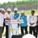 Presiden Groundbreaking Pembangunan PLTS PLN 50 MW di IKN Nusantara, Hadirkan 100% Energi Bersih