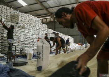 Antisipasi Gejolak Harga Pangan, Cek Langkah Strategis Pemerintah
