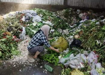 Ketahanan Pangan Global, 1,3 Miliar Ton Makanan Terbuang Setiap Tahun