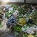 Ketahanan Pangan Global, 1,3 Miliar Ton Makanan Terbuang Setiap Tahun