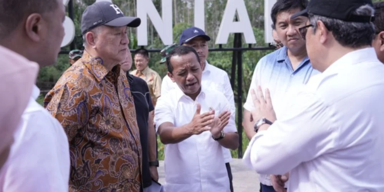 BKPM Promosikan Investasi di IKN