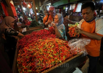 Harga Pangan Meroket Jelang Nataru