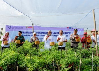 Menjaga Ketahanan Pangan, Bank Indonesia Dorong Kemandirian Petani