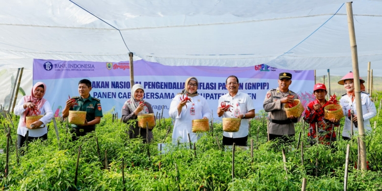 Menjaga Ketahanan Pangan, Bank Indonesia Dorong Kemandirian Petani