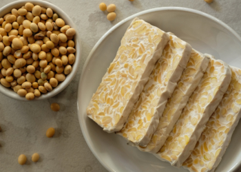 Tempe Sumber Protein Nabati dengan Sejuta Manfaat Bagi Tubuh