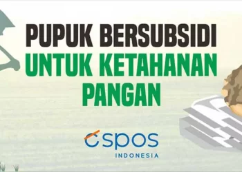 pupuk bersubsidi